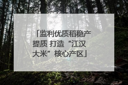 监利优质稻稳产提质 打造“江汉大米”核心产区